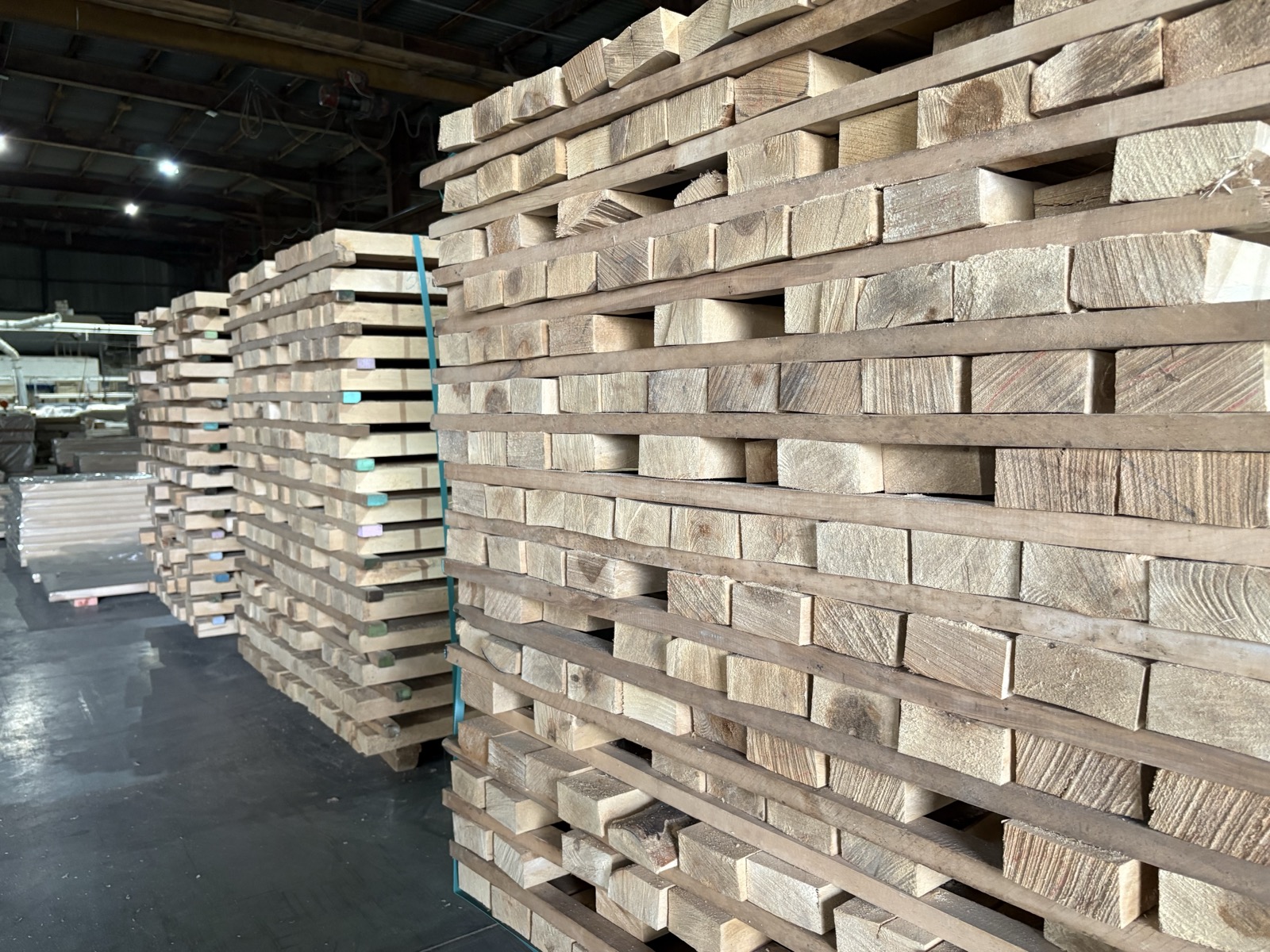 Birch lumber stacks